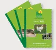 Nos guides