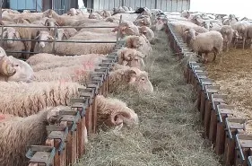 ferme_recebire.jpg
