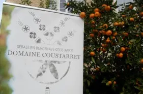 mandarines_domaine.jpg