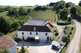 Domaine viticole.jpg