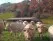  Ferme Auzkia Copie De Bre Vach 03