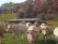 Nos vaches