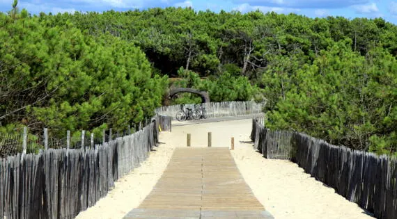 @maufroid_crt_na_acces_a_la_plage_avec_les_caillebotis_7007.jpeg