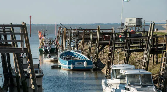 @pascal_baudry_pcc_na_vue_de_talmont_sur_gironde_en_charente_maritime_12555.jpg