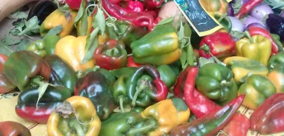 Poivrons sur un étal de marché